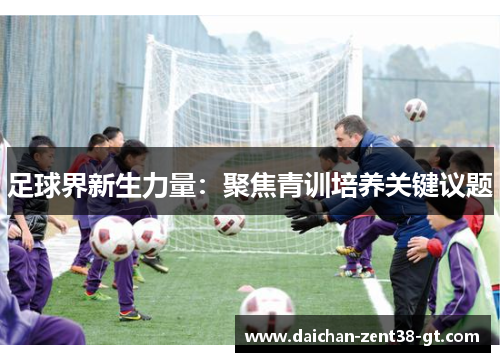 足球界新生力量：聚焦青训培养关键议题